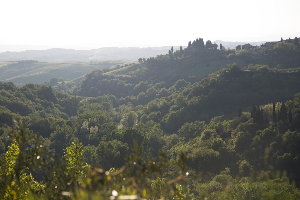 Casa Sandro A Podere Pascianella Villa Castelmuzio Dış mekan fotoğraf